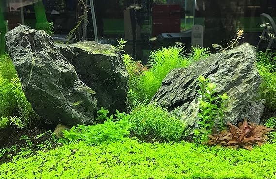 product_small_img3
